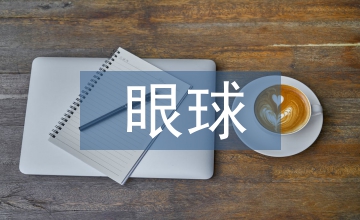 眼球經(jīng)濟下網(wǎng)絡(luò)視聽節(jié)目娛樂化探思
