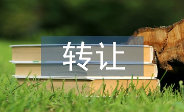 跨國(guó)企業(yè)無(wú)形資產(chǎn)轉(zhuǎn)讓定價(jià)稅制探究