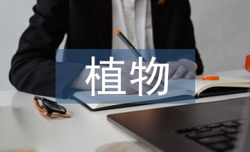 植物造型設(shè)計(jì)
