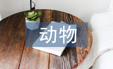 動(dòng)物醫(yī)學(xué)學(xué)科評(píng)估