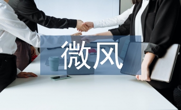 微風(fēng)吹亂的愛情