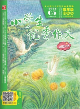 小學生優(yōu)秀作文雜志