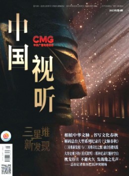 中國(guó)視聽